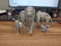 Фотополимерная печать - Магазин кофе и кофейных автоматов Barista, Екатеринбург